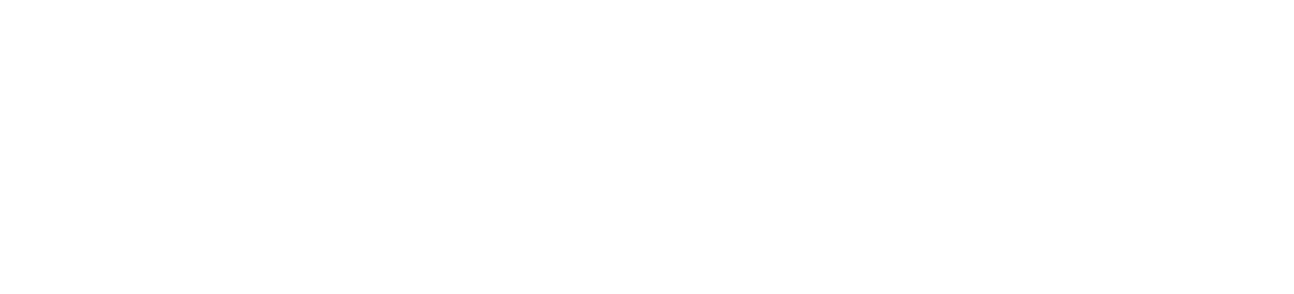 RR-Logo-White-icons